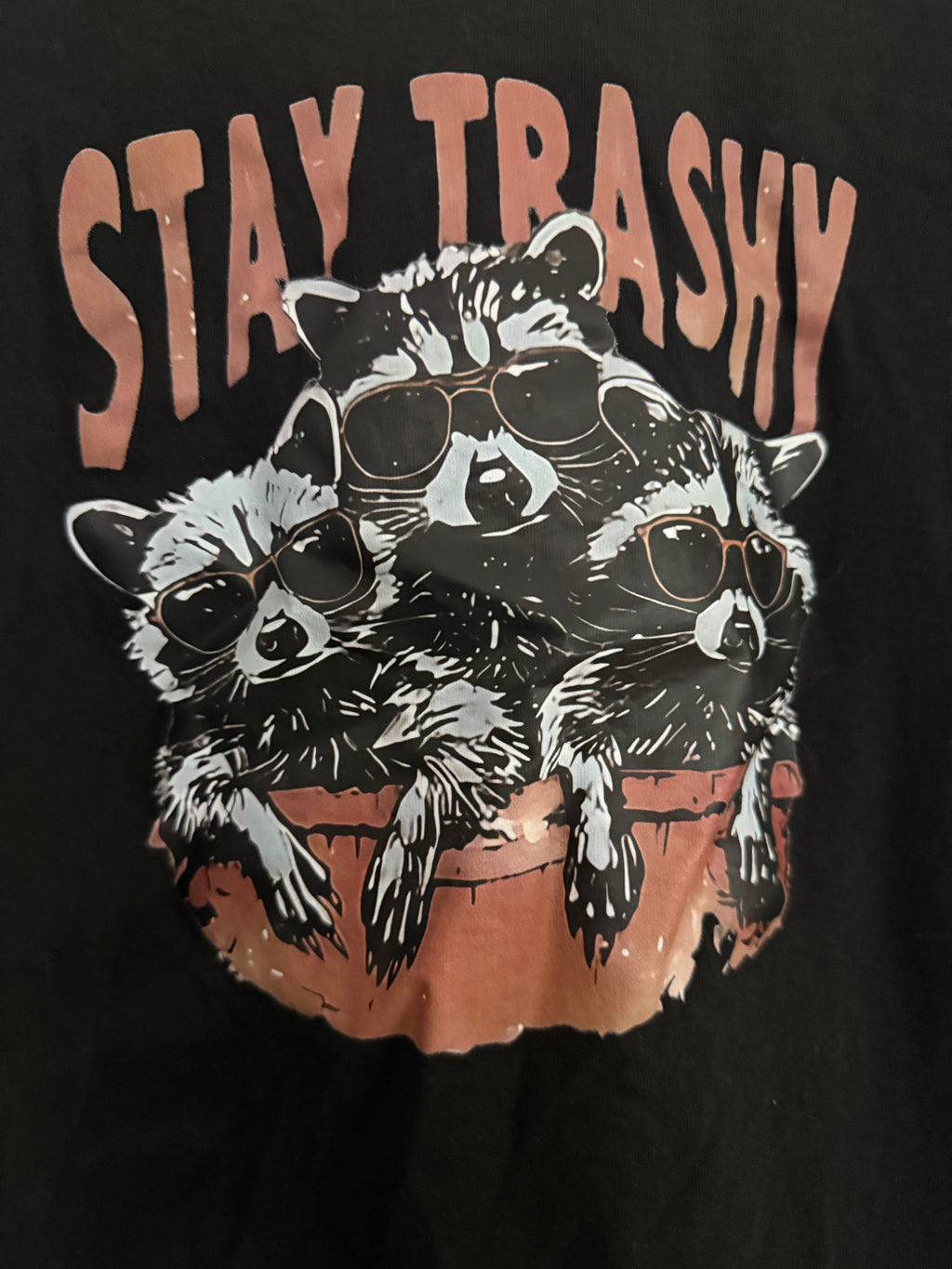 Raccoon Theme T Shirt
