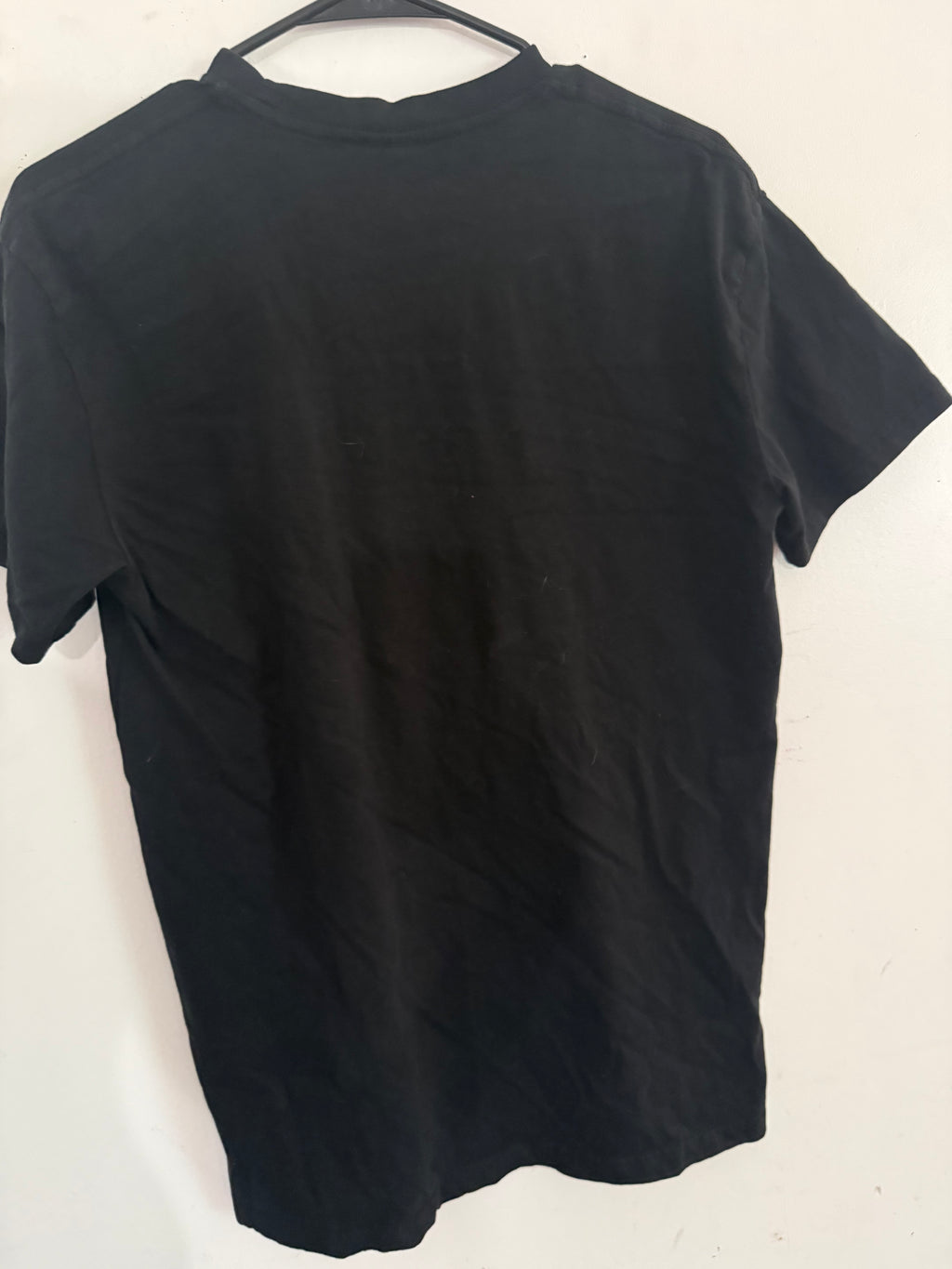 Raccoon Theme T Shirt