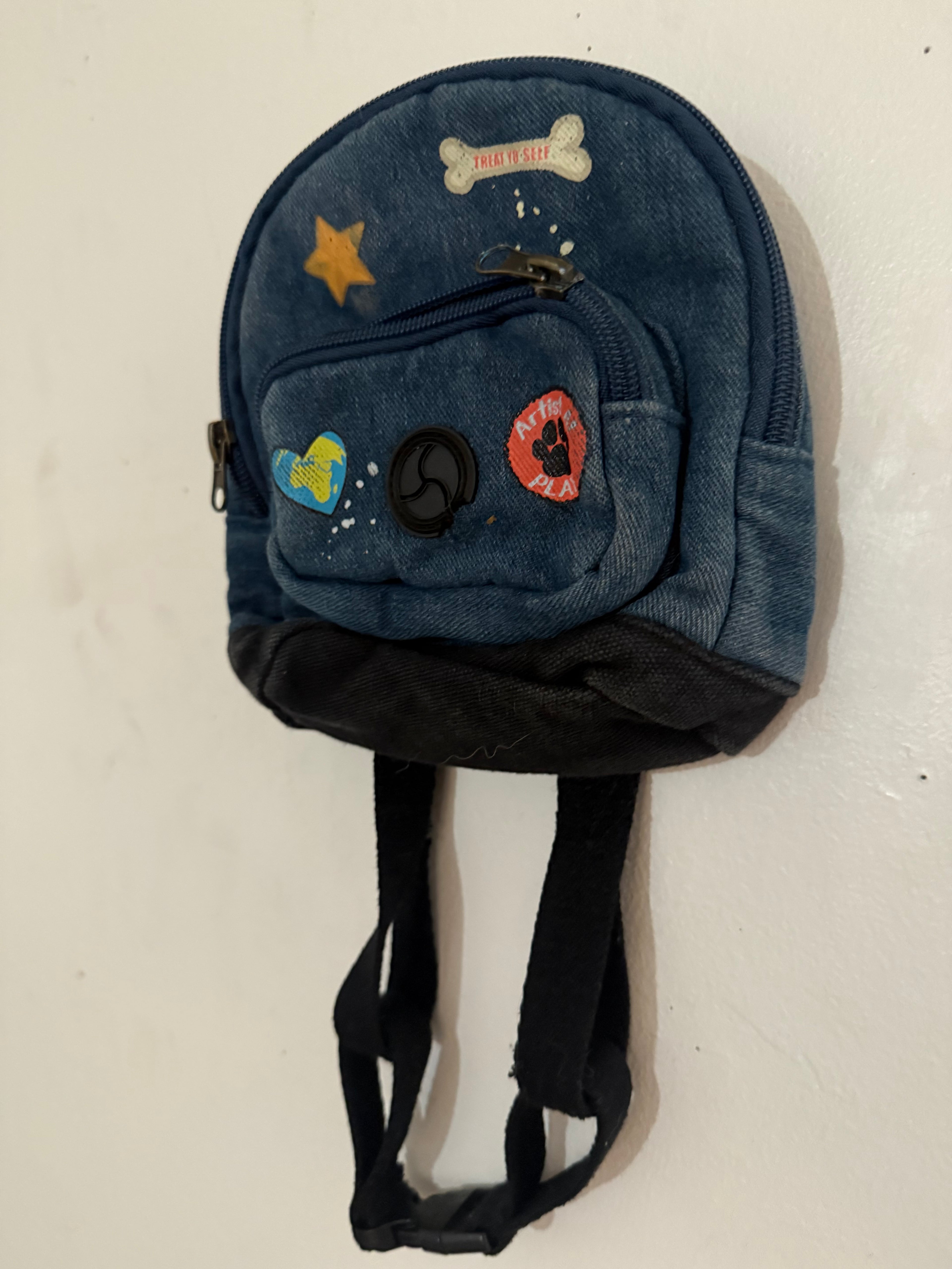 Small Animal Backpack